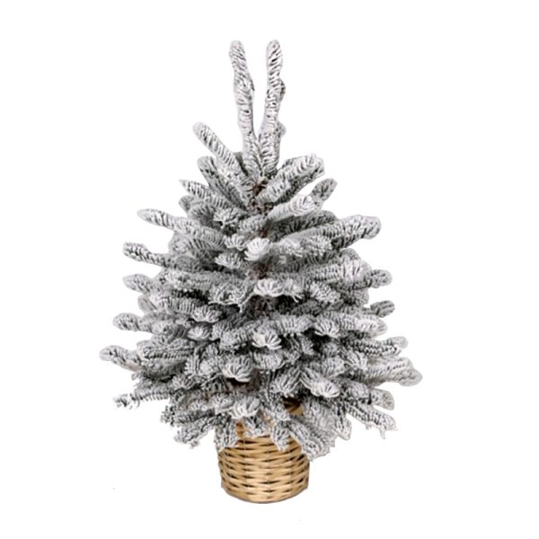 Jelka u saksijibela  60cm