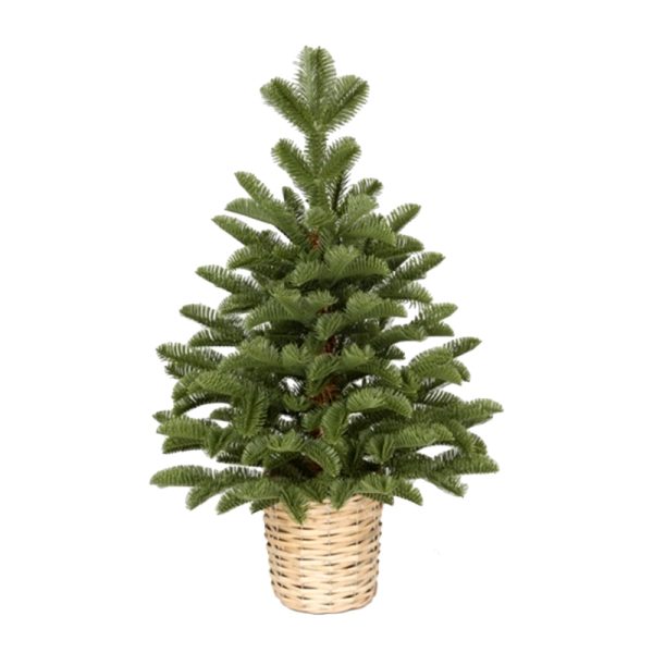 Jelka u saksijizelena  60cm