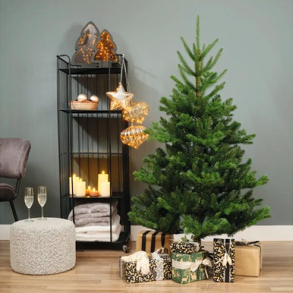 Novogodisnja jelka
Alba fir
180cm