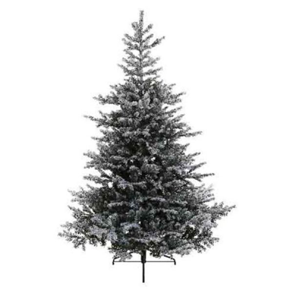 Grandis fir snowy 180cm-132cm 
Everlands 68.9761
