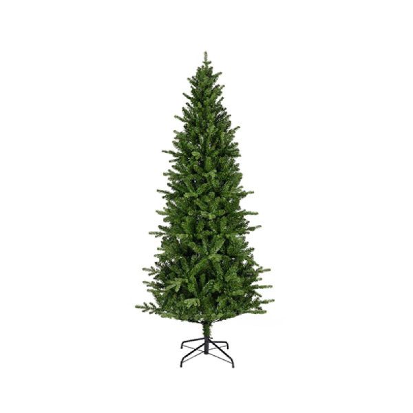 Novogodisnja jelka 
Killington fir
  240cm