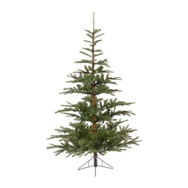 Nobilis fir 150cm-102cm 
Everlands 68.9200