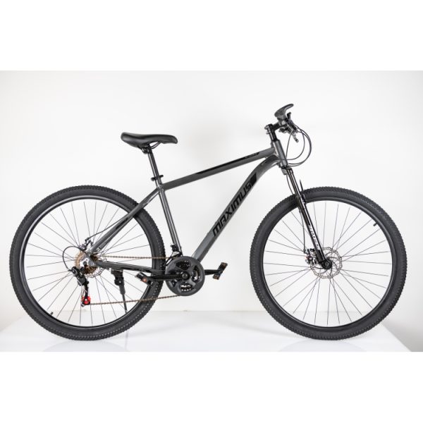 Aluminijumski Mountain Bike sa 21 brzinom - siva